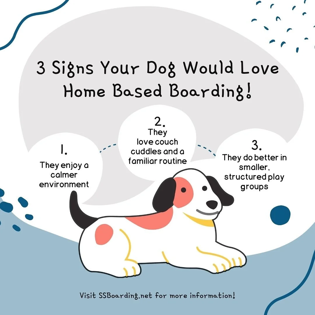 🏡 What&rsquo;s home based boarding? Great Question!

🐶 It means your pup will stay with us! Your dog will settle right in, feeling safe and comfortable at our welcoming home.

👌 Our approach focuses on reducing stress and maximizing comfort throug