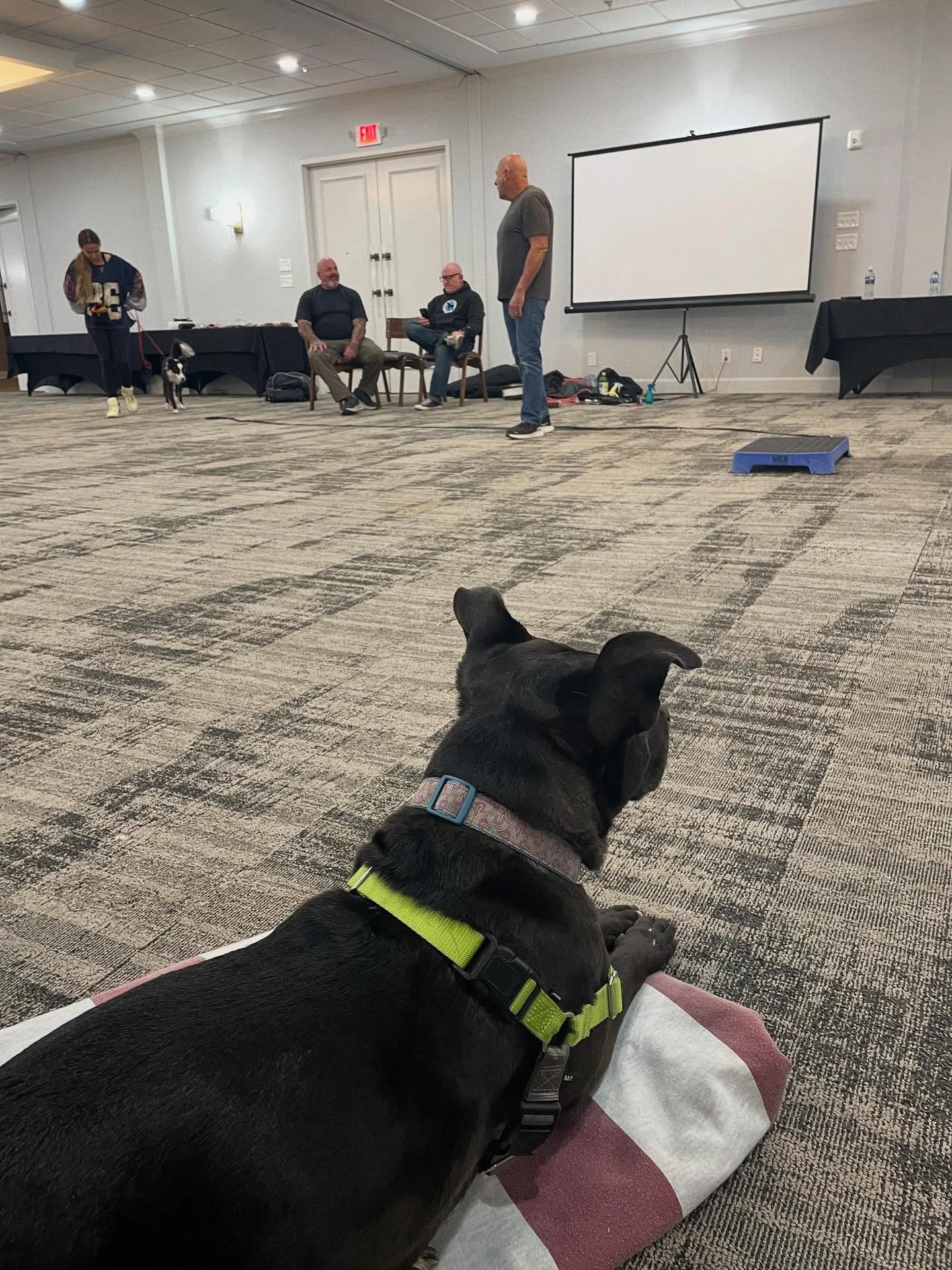 😎 Throwback Thursday!

🐶 This past October we did something exciting and new&hellip;. Iris accompanied me to our first out of state training conference! While virtual conferences are easier to navigate with scheduling, we&rsquo;re so glad we were a