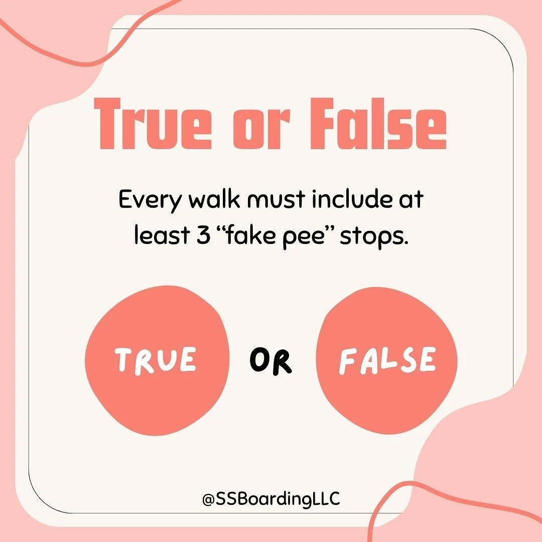 😒 We all have that dog. 

🤣 Like, &ldquo;hey bro, the tank is empty. Give it a break&rdquo;. IYKYK. 
.
.

💻 SSBoarding.net
Dog Boarding | Dog Training | Pet Sitting
.
.
.
#indianadogtraining #petdogtraining #dogtraining  #indianapetsitting #profes