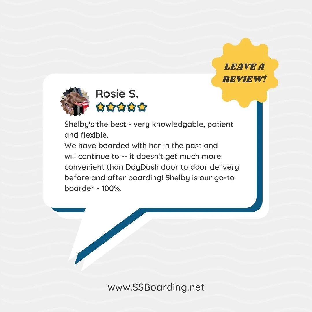 🙏 Thank you for the review!

🤩 If you&rsquo;ve used our services, would you take a moment to leave us a review on Facebook or Google? Your feedback helps other pet parents find us!

Google: https://share.google/ZKOWSiDpBV9sLwwek 
.
.

💻 SSBoarding