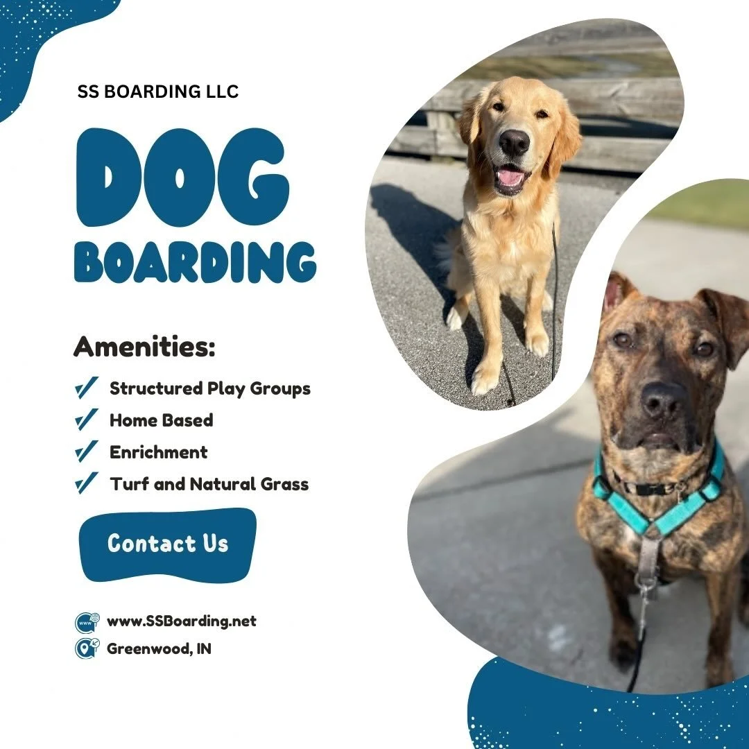 👀 Looking for a safe, structured, and loving place for your dog while you&rsquo;re away? Our in-home dog boarding offers just that! 

🐾 With structured playgroups, personalized crate enrichment, and all the comforts of a home environment&hellip;.yo
