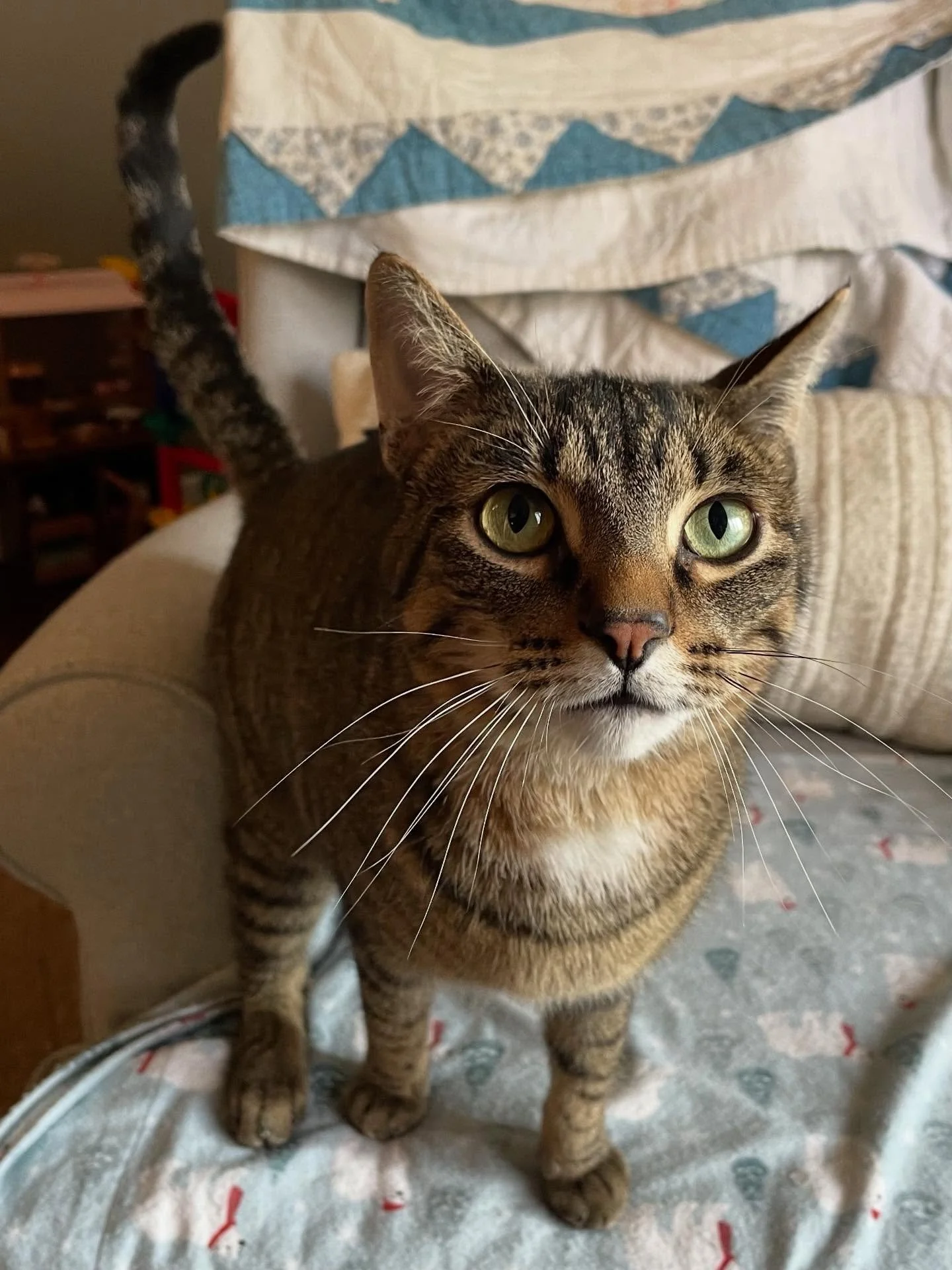 💁&zwj;♀️ No filter needed

🤩 Green? Yellow? I don&rsquo;t know what color you&rsquo;d call those eyes but they&rsquo;re gorgeous!
.
.

💻 SSBoarding.net
Dog Boarding | Dog Training | Pet Sitting
.
.
.
#indianadogtraining #petdogtraining #dogtrainin