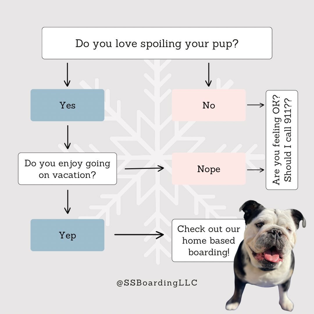 😆 No matter your path, it brings you right to our door!

🐾 Personalized, home-based boarding at its best.
.
.

💻 SSBoarding.net
Dog Boarding | Dog Training | Pet Sitting
.
.
.
#indianadogtraining #petdogtraining #dogtraining  #indianapetsitting #p