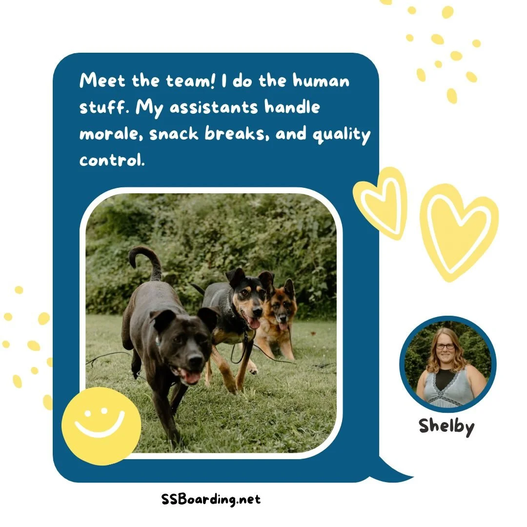 😜 My assistants don&rsquo;t type emails&hellip; but they do give the best support.
.
.

💻 SSBoarding.net
Dog Boarding | Dog Training | Pet Sitting
.
.
.
#indianadogtraining #petdogtraining #dogtraining  #indianapetsitting #professionalpetsitter #do