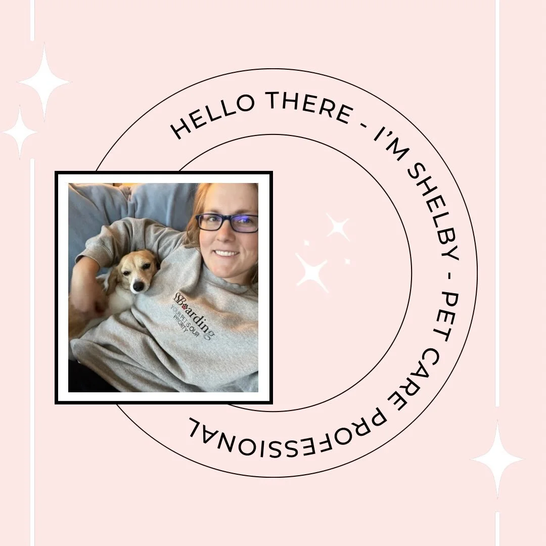💁&zwj;♀️ If you&rsquo;re new here&hellip;.Hi! I&rsquo;m Shelby!

😊 I&rsquo;m a professional dog trainer and pet care provider&hellip; wishing you and your pets a cozy post-Christmas weekend!
.
.

💻 SSBoarding.net
Dog Boarding | Dog Training | Pet 