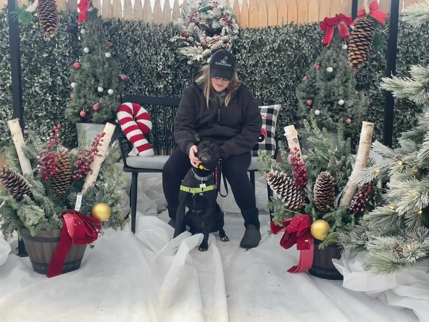 🐾 Iris LOVES to get out of the house for a training field trip!

🤪 (not as excited about posing for pictures though&hellip;. Why do &ldquo;kids&rdquo; have to be so difficult?!?)
.
.

💻 SSBoarding.net
Dog Boarding | Dog Training | Pet Sitting
.
.
