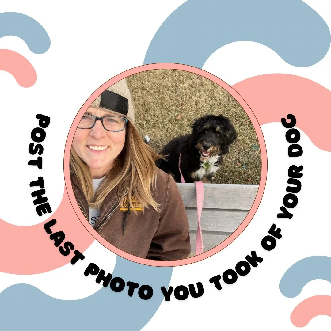 😆 Tag us in a picture of your puppers! We want to see all the epic cuteness they have to offer. 
.
.

💻 SSBoarding.net
Dog Boarding | Dog Training | Pet Sitting
.
.
.
#indianadogtraining #greenwoodindiana #franklinindiana #centergroveindiana #white