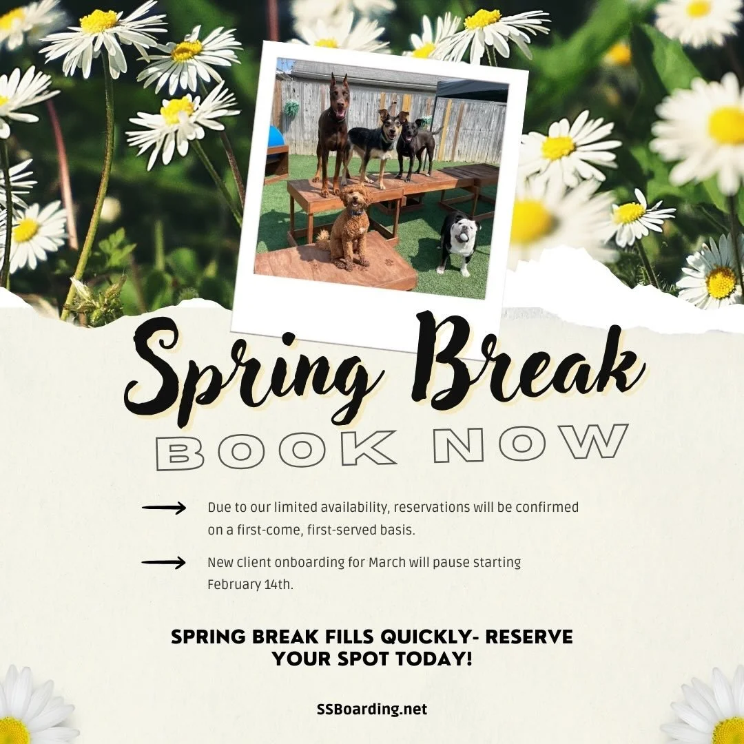 🌼 It&rsquo;s that time of year!

✈️ Spring break is just around the corner! Be sure to make your reservation early to save your doggo&rsquo;s spot&hellip; our calendar fills up quickly. 
.
.

💻 SSBoarding.net
Dog Boarding | Dog Training | Pet Sitti