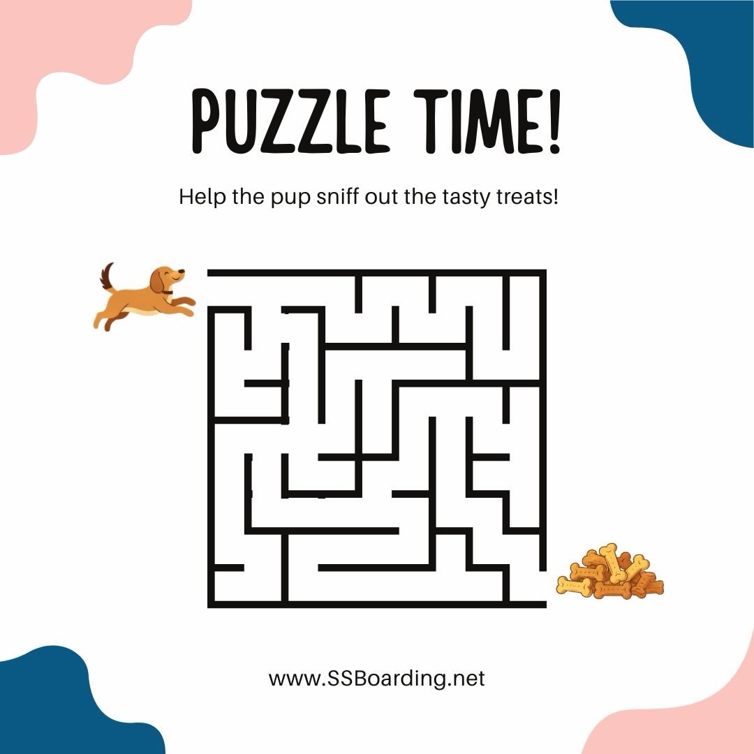 🧩 Ready, set, GO!
.
.

💻 SSBoarding.net
Dog Boarding | Dog Training | Pet Sitting
.
.
.
#greenwoodindiana #indianapetcareprofessional #dogboarding #dogtraining #oldtowngreenwood