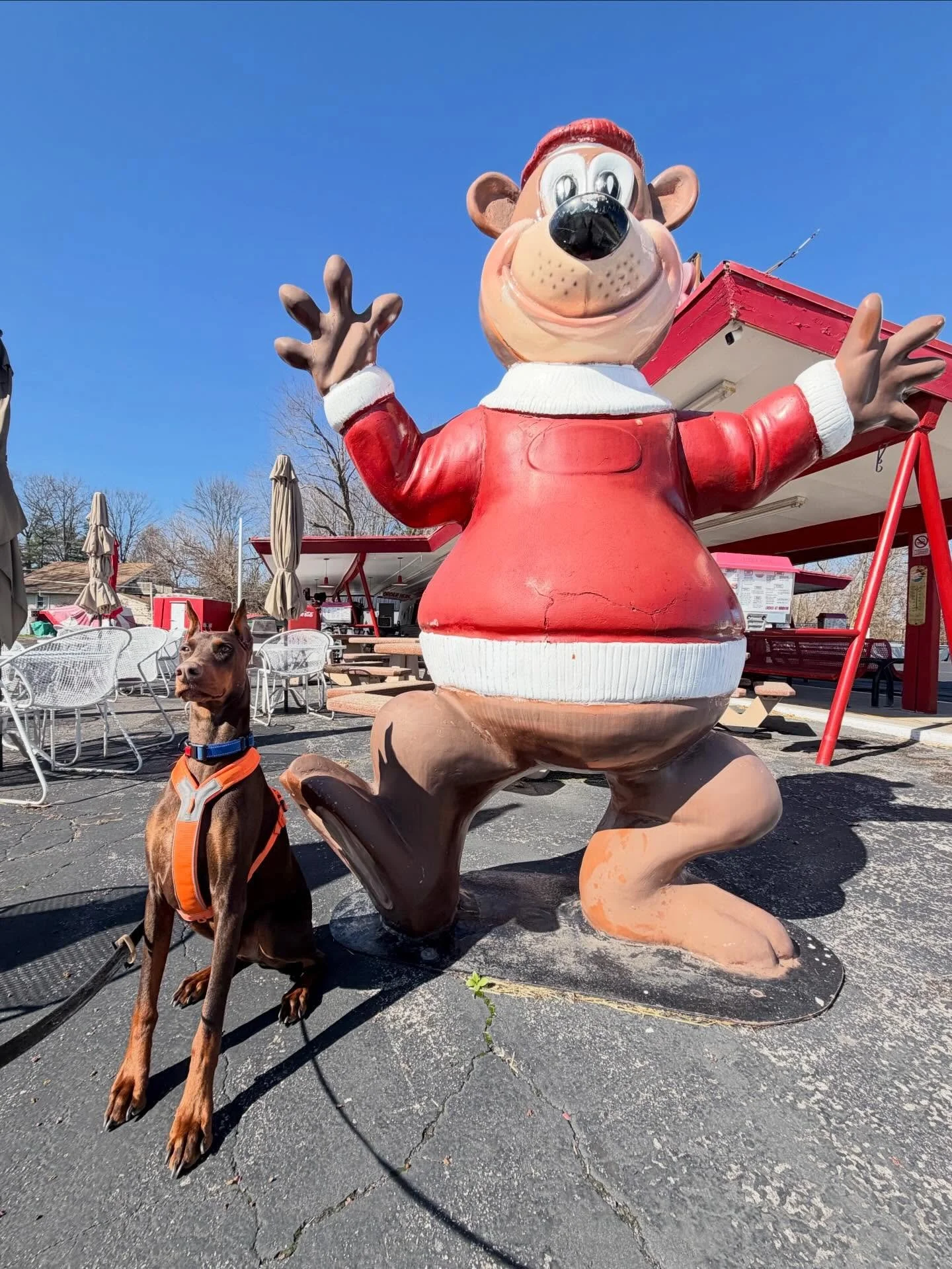 🌼 Happy first day of spring!
.
.

💻 SSBoarding.net
Dog Boarding | Dog Training | Pet Sitting
.
.
.
#oldtowngreenwood #greenwoodindiana #indianapolisindiana #indianadog #franklinindiana
