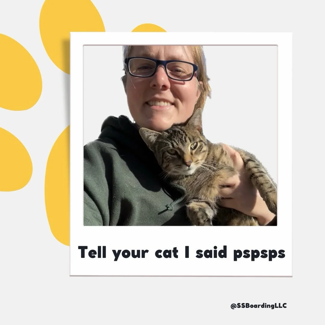 😆 Hey, tell your cat I said&hellip;.
.
.

💻 SSBoarding.net
Dog Boarding | Dog Training | Pet Sitting
.
.
.
#indianapolisindiana #indianapetcare #petsitting #greenwoodindiana