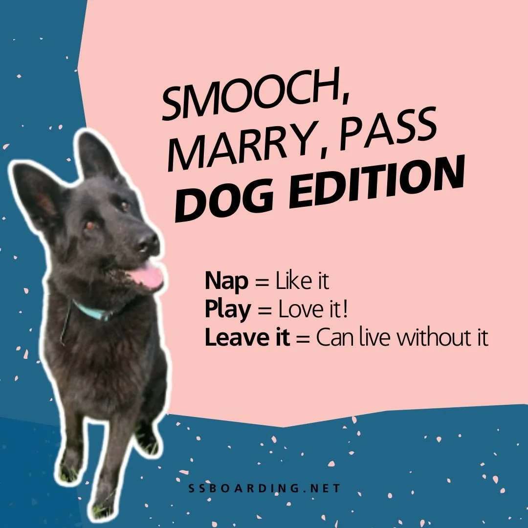 😂 Who remembers playing Smooch, Marry, Pass as a kid?

🐶 Well here we are again with our first ever dog edition: Nap, Play, Leave It
.
.

💻 SSBoarding.net
Dog Boarding | Dog Training | Pet Sitting
.
.
.
#greenwoodindiana #indianapolisindiana #fran