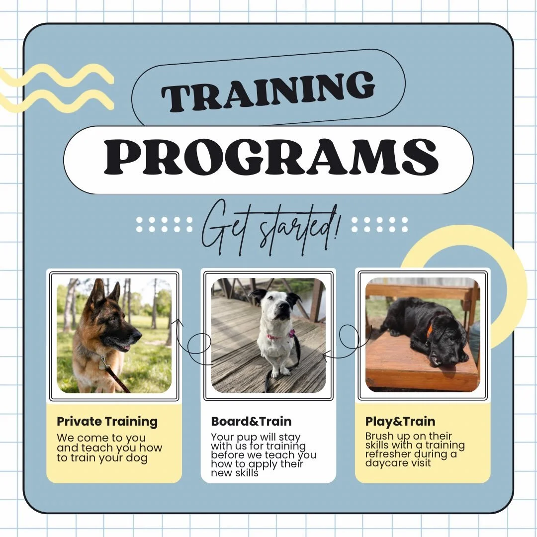 🤓 Ready to get started? Let&rsquo;s chat about which program works best for your pup and goals!
.
.

💻 SSBoarding.net
Dog Boarding | Dog Training | Pet Sitting
.
.
.
#indianadogtraining #greenwoodindiana #bargersvilleindiana #franklinindiana #white
