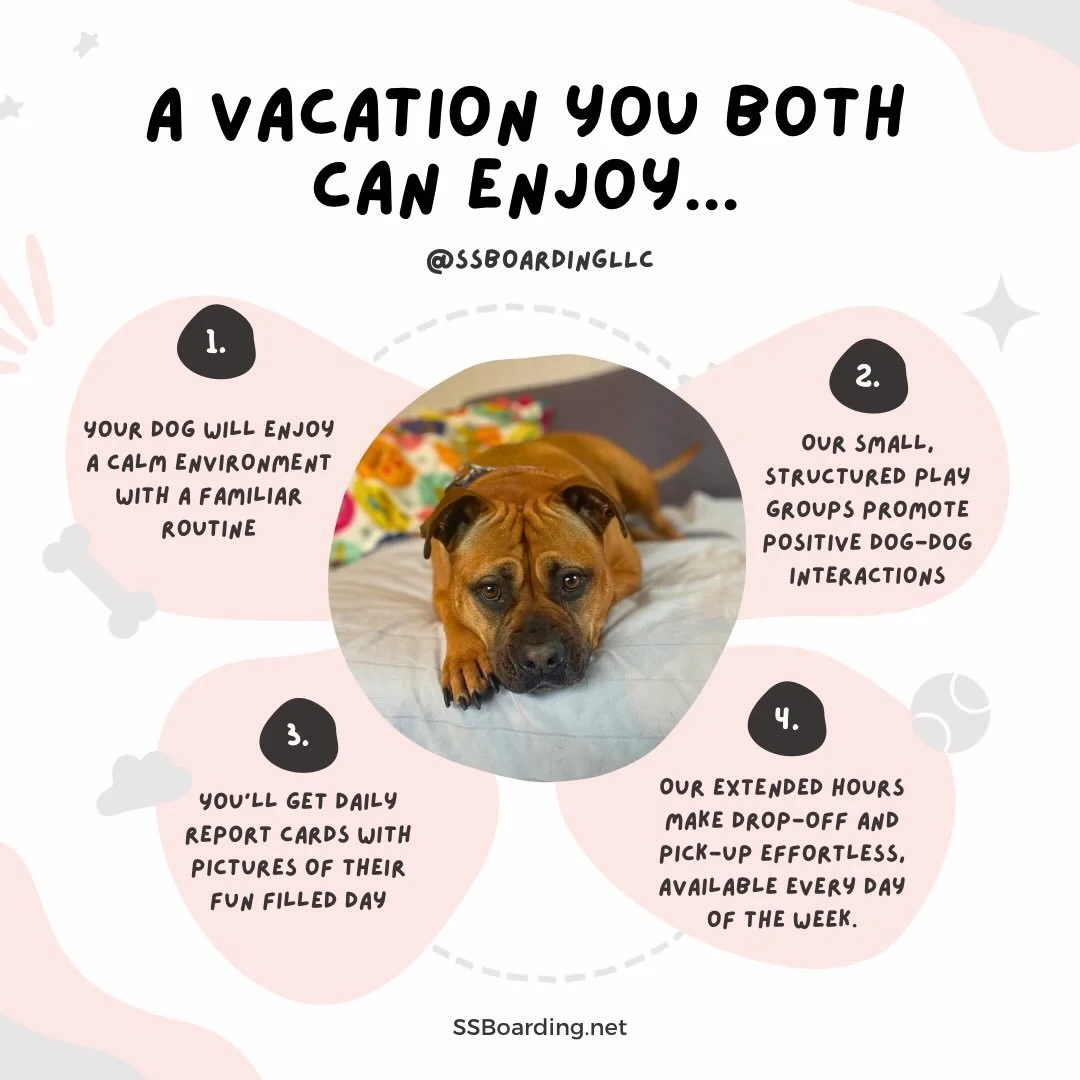 👀 Looking for a safe, structured, and loving place for your dog while you&rsquo;re away? Our in-home dog boarding offers just that! 

🐾 Reach out today to learn more and schedule a Meet&amp;Greet!
.
.

💻 SSBoarding.net
Dog Boarding | Dog Training 