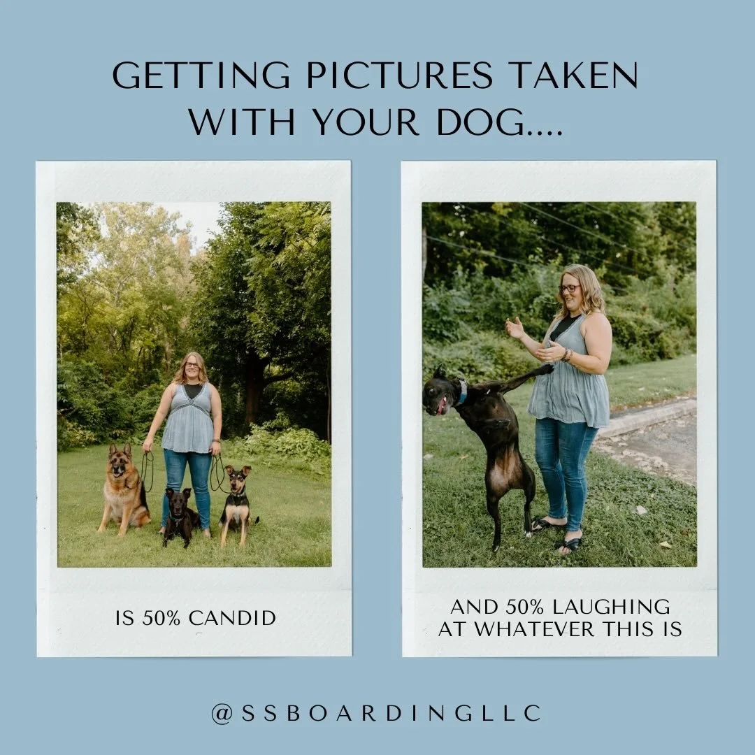 😏 Expectation vs reality 
.
.

💻 SSBoarding.net
Dog Boarding | Dog Training | Pet Sitting
.
.
.
#greenwoodindiana #indianapetpro #indianapolisindiana #indianadogs