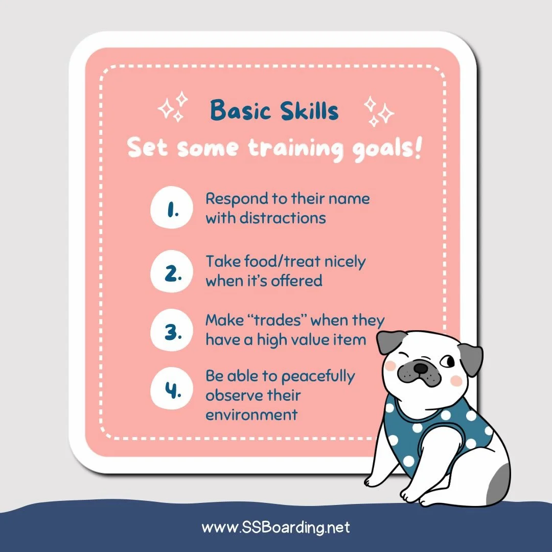 🍎 Phase Two: Basic Skills that don&rsquo;t include sit, down, and stay!
.
.

💻 SSBoarding.net
Dog Boarding | Dog Training | Pet Sitting
.
.
.
#greenwoodindiana #centergroveindiana #franklinindiana #whitelandindiana