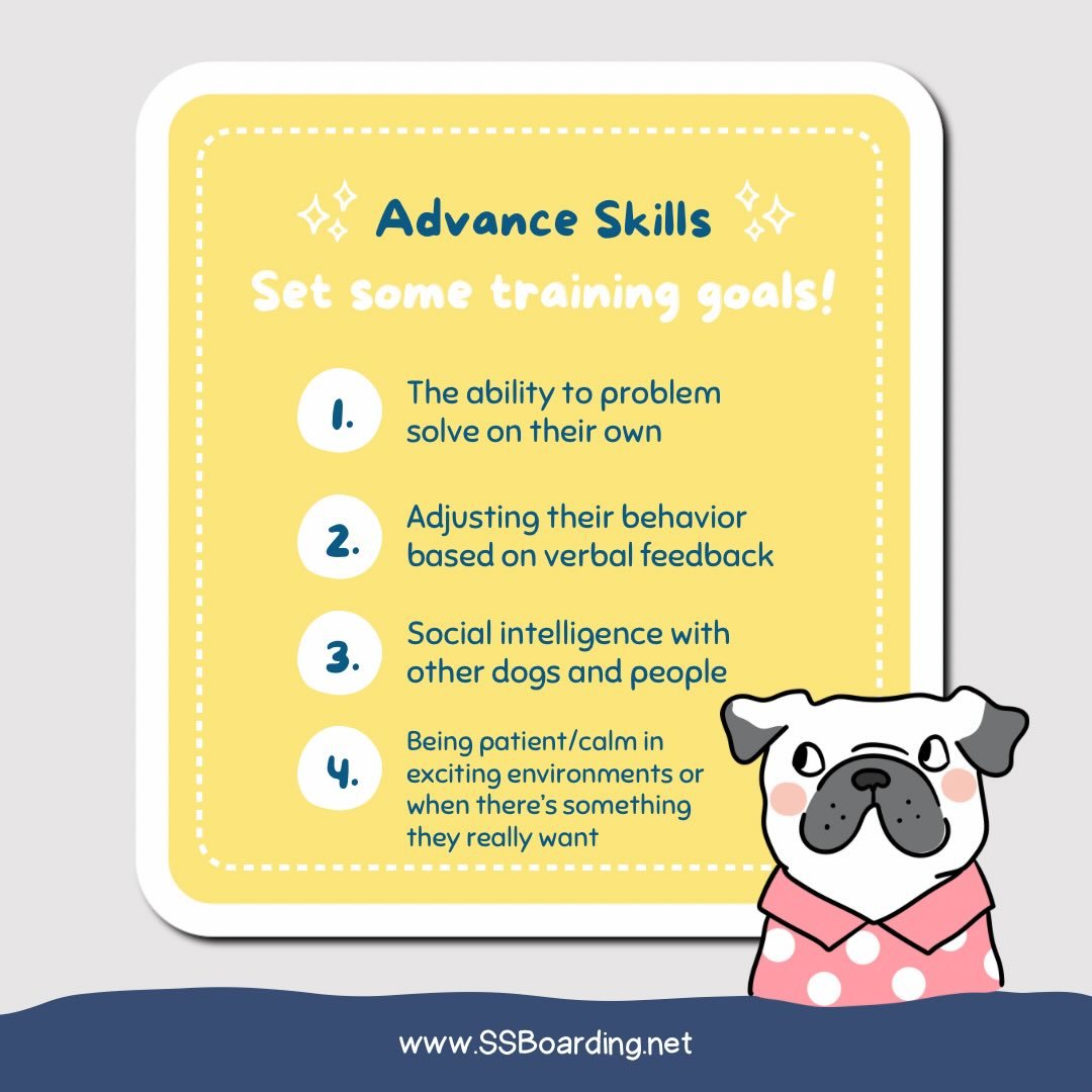 🍎 We&rsquo;ve looked at foundation and basic life skills&hellip;  now check out a short list of advanced skills. 

👀 They can be a bit of a doozy, no doubt! Which do you think your dog would find most challenging?
.
.

💻 SSBoarding.net
Dog Boardin