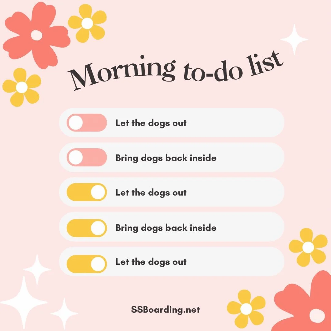 😂 Sounds a lot like your weekend plans too, huh?
.
.

💻 SSBoarding.net
Dog Boarding | Dog Training | Pet Sitting
.
.
.
#greenwoodindiana #indianadog #bargersvilleindiana #indianadogboarding
