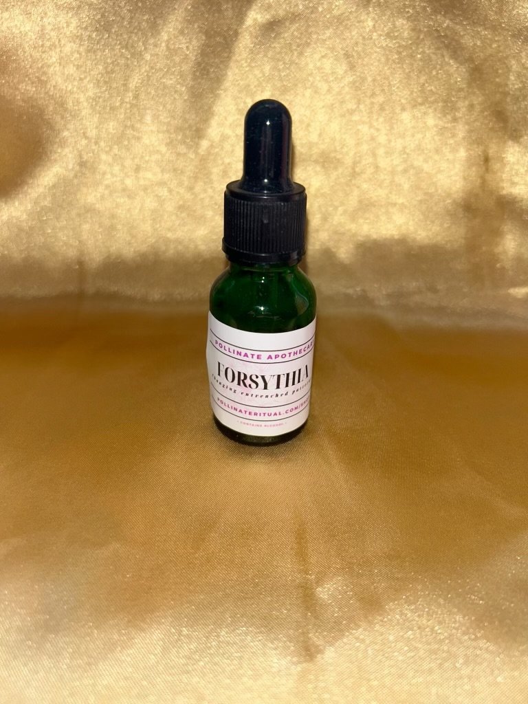 Forsythia Essential Oil (Smaller Bottle)