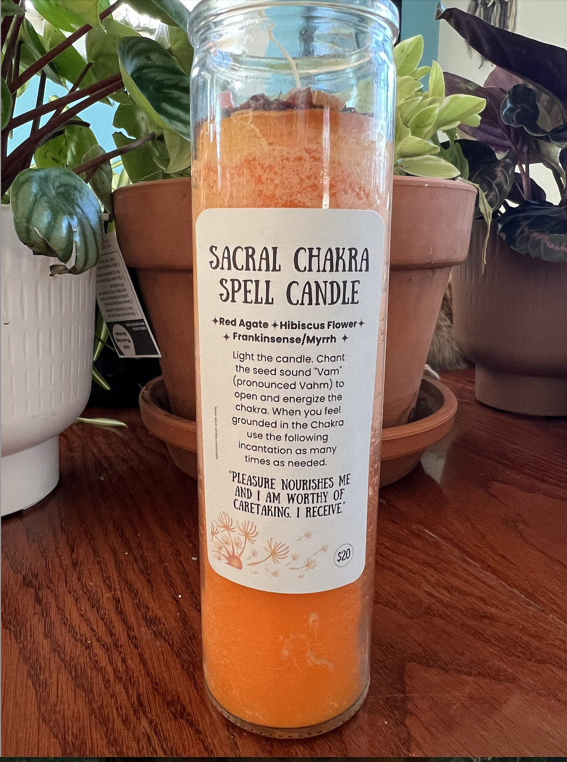 Screenshot 2026-03-07 at 5.45.53 PM.png