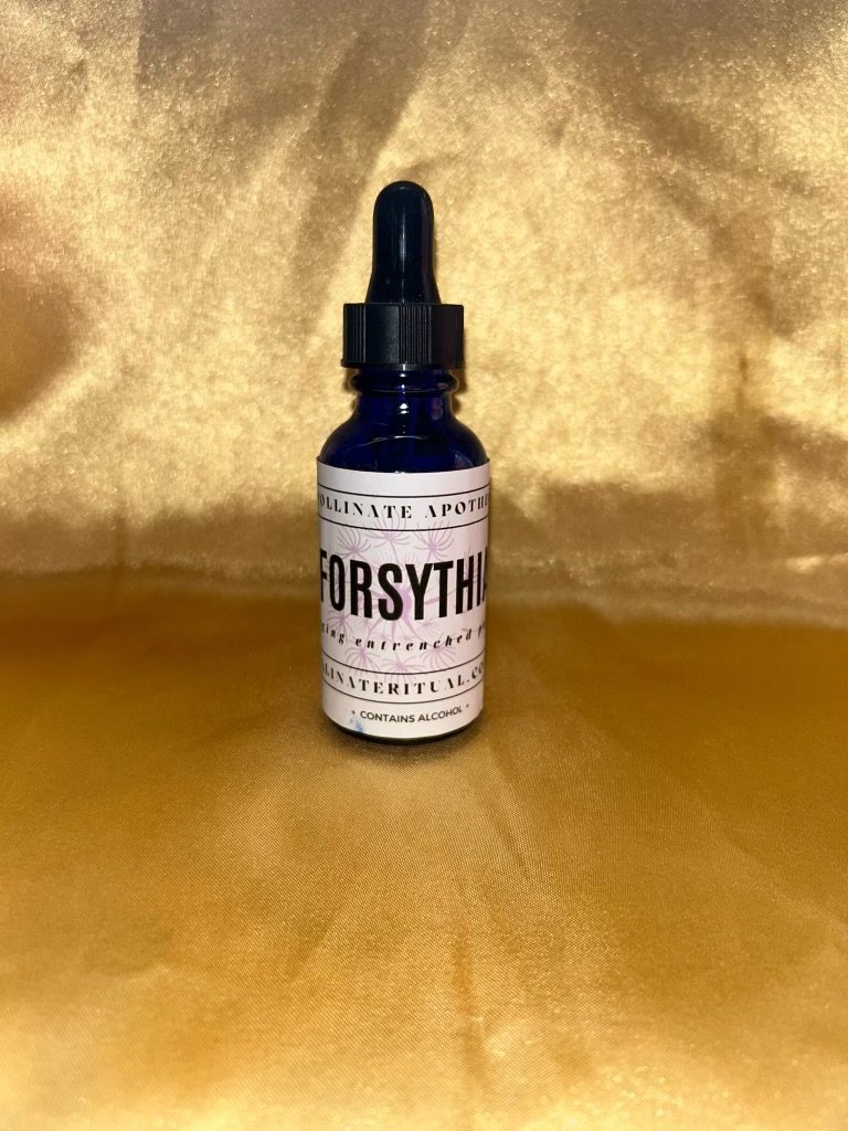Forsythia Essential Oil