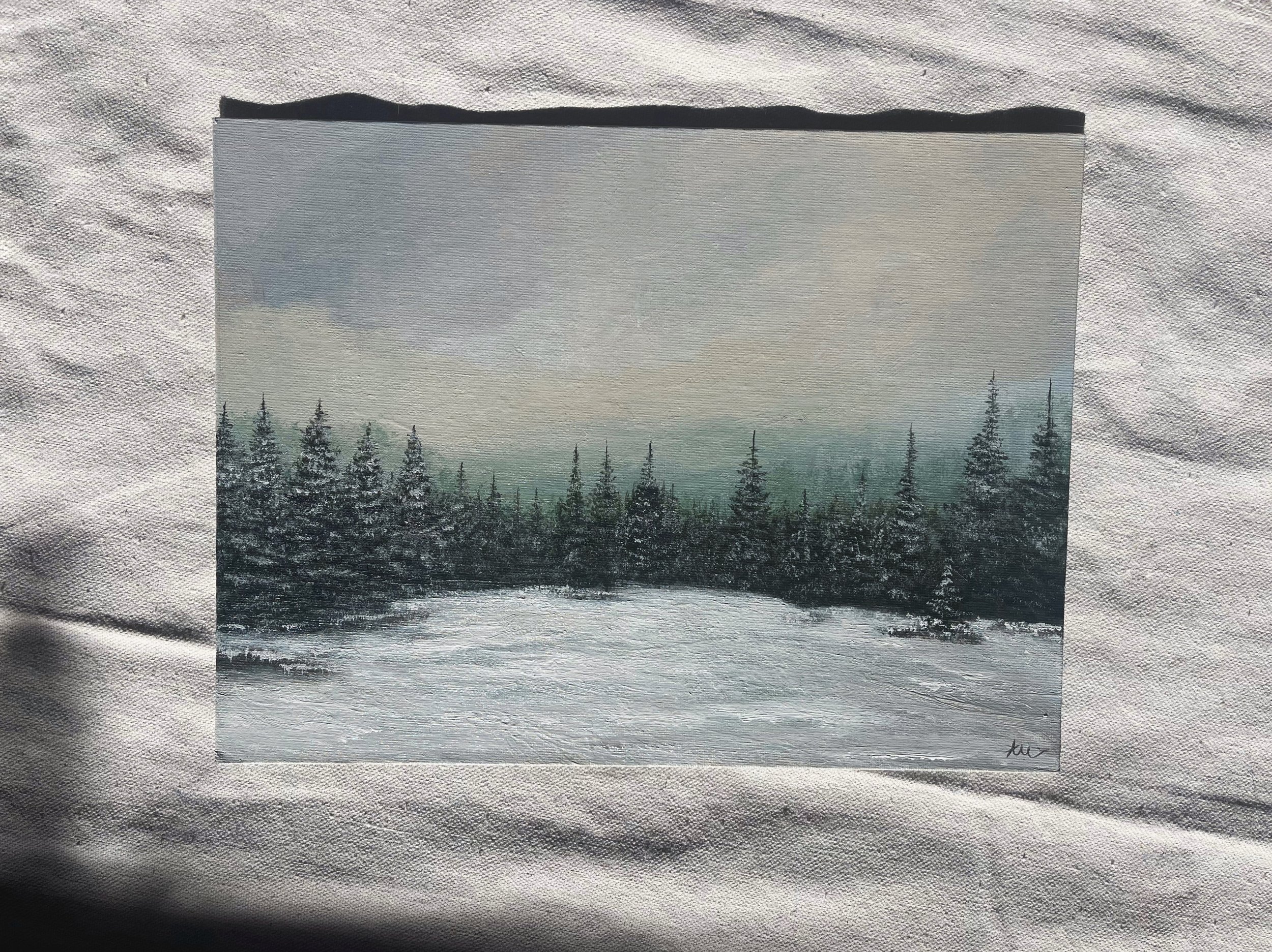 Snow-Kissed Meadow
