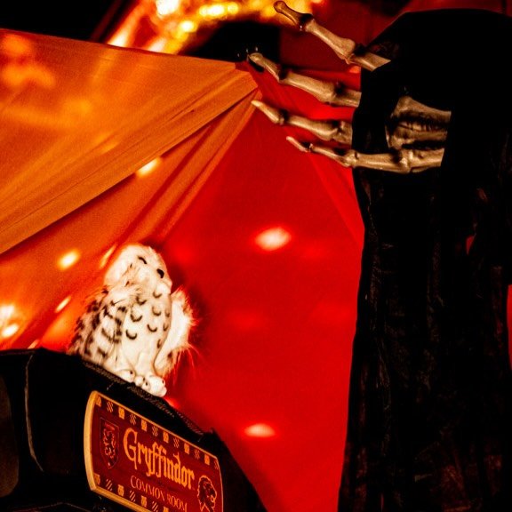 Dementor showed up like it wanted a table for trivia&hellip; Hedwig hit it with the &ldquo;Expecto NO-turnum.&rdquo; 🦉⚡️❌
Trivia is not for soul-suckers &mdash; but it IS for you starting at 8PM. ✨

Tonight&rsquo;s magical special: Time Turner Shot 