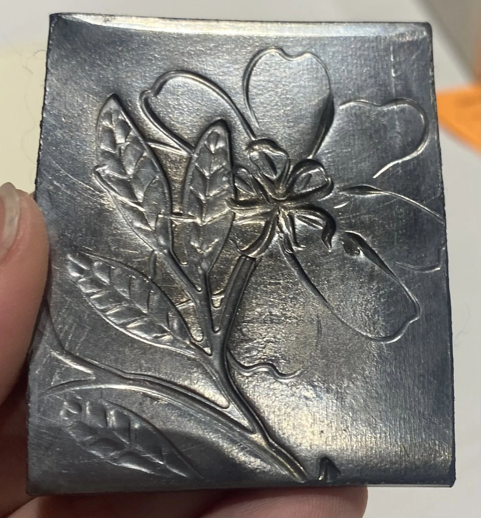 FL 0002 - Front.jpeg