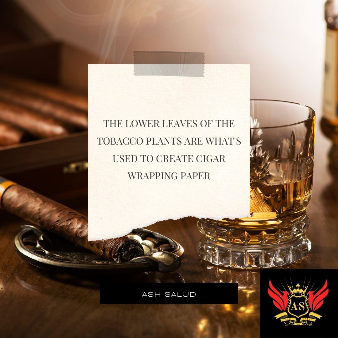 Ash-Salud Instagram Post.jpg