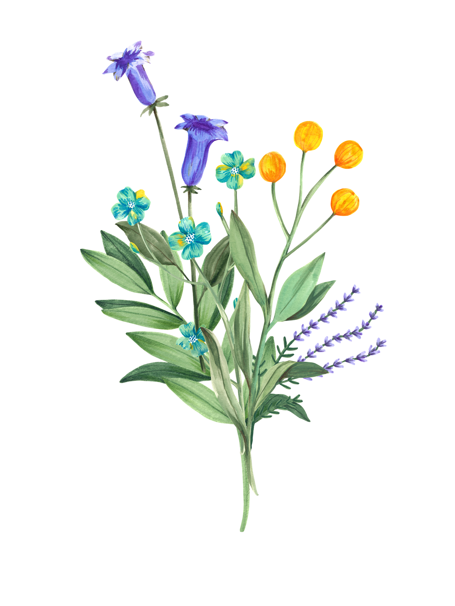 events-walt-s-on-the-roof