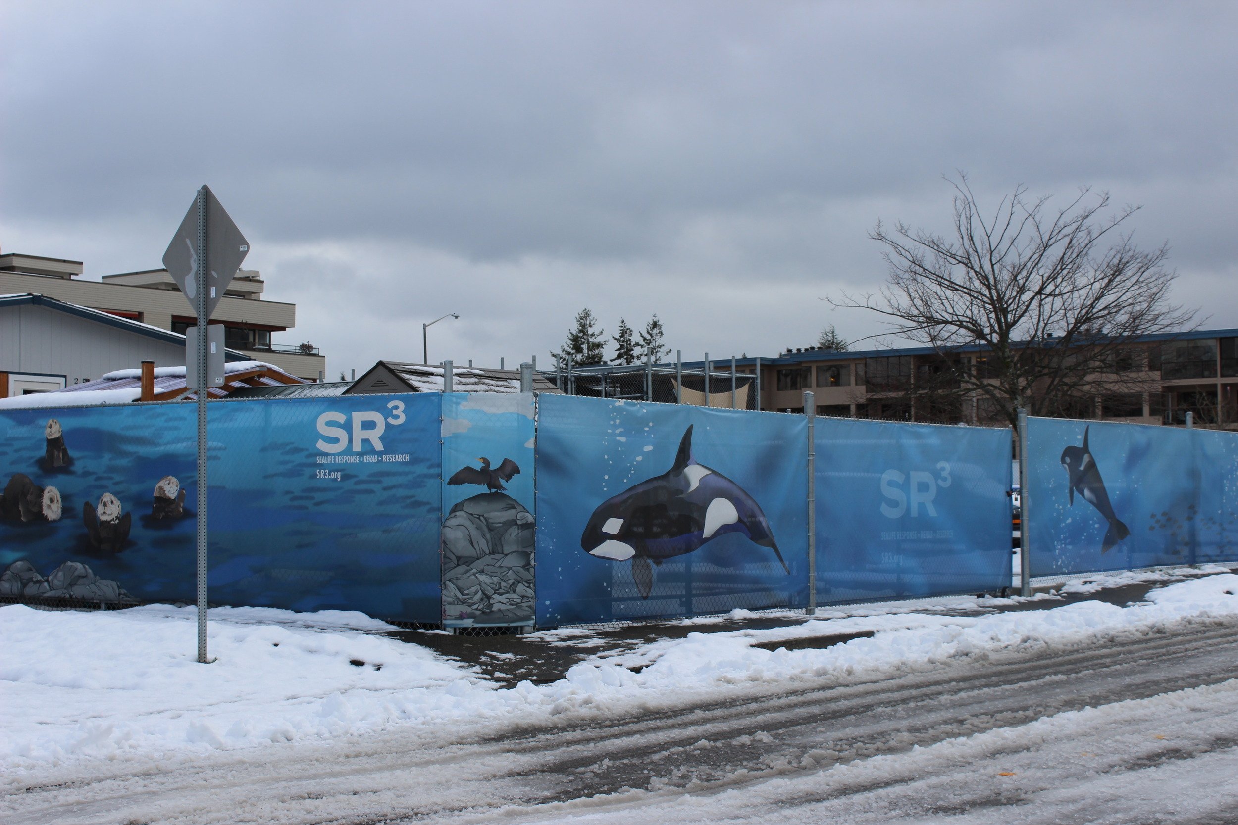 Our Facility | SR3 | SeaLife Response + Rehabilitation + Research