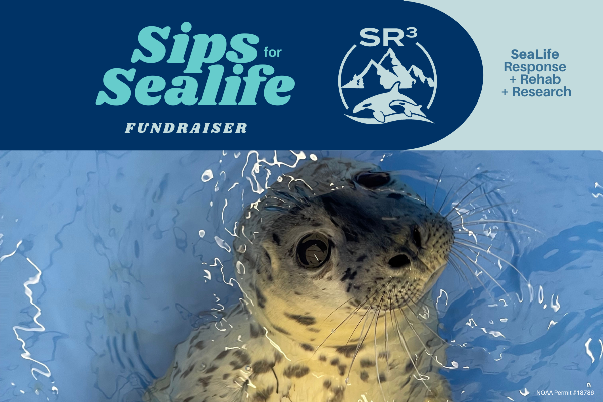 Sips For Sealife