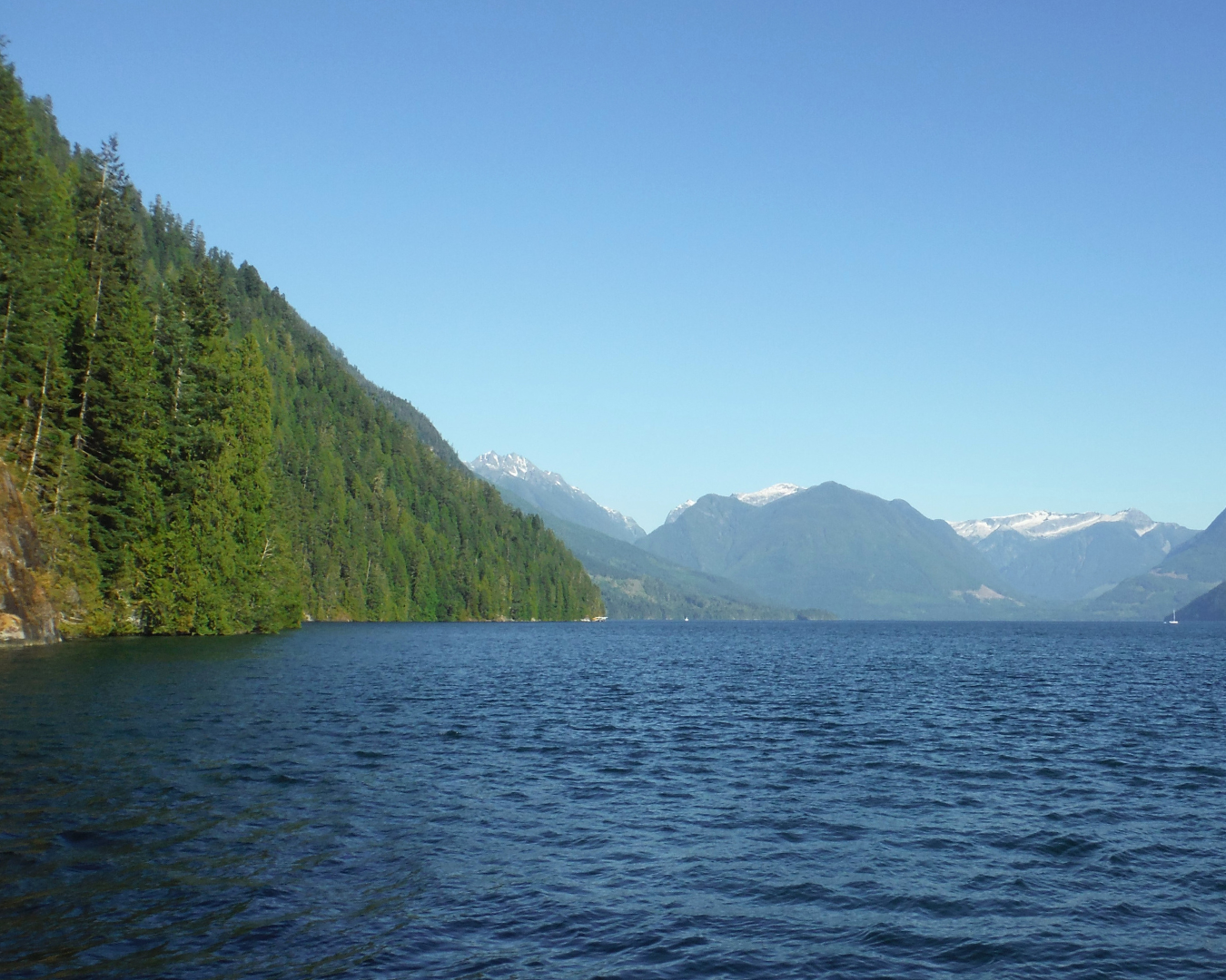   Jervis Inlet was carved by glaciers, creating a steep-sided channel down to the bottom of the ocean over 2,000 feet below sea level.  