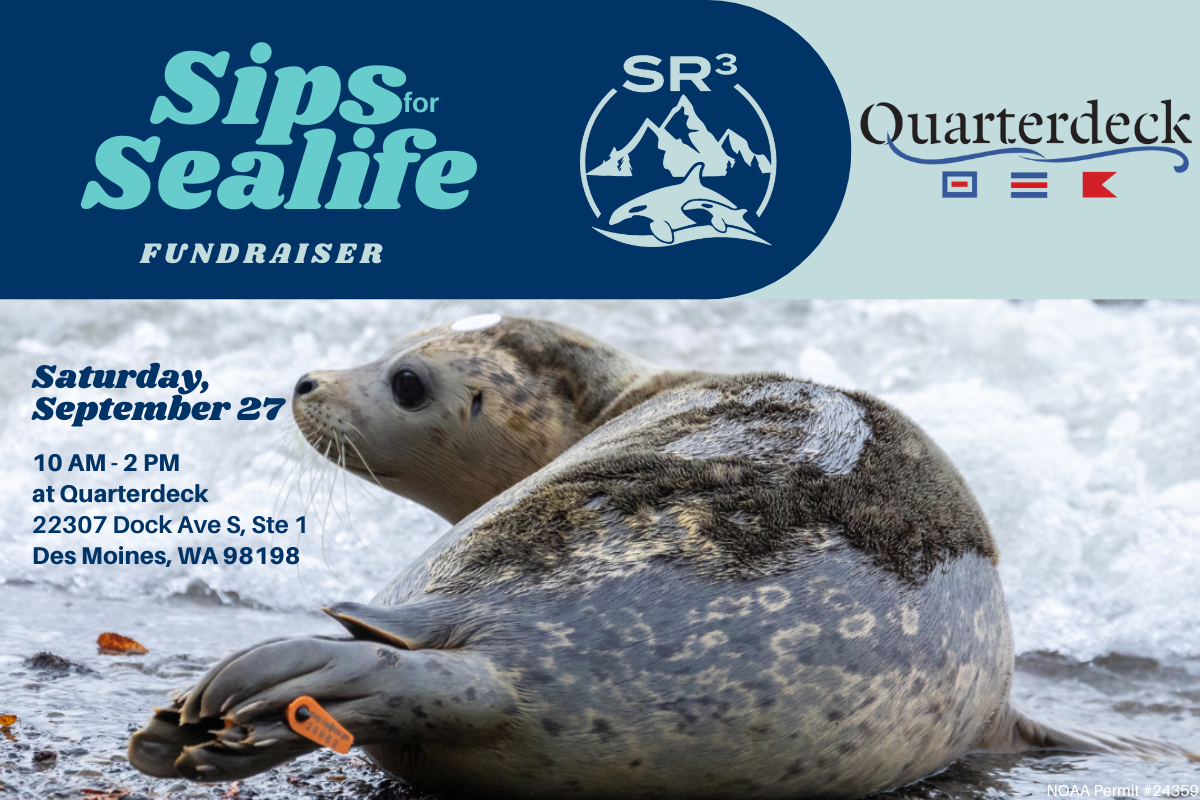 Quarterdeck Fundraiser
