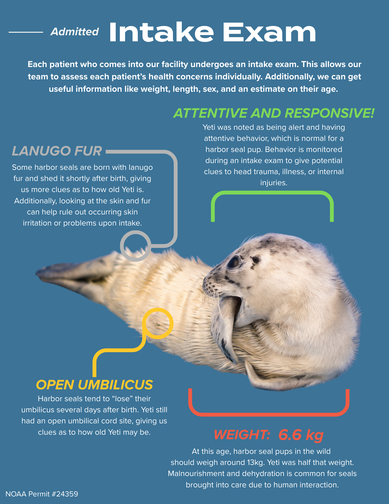   One of the 8.5x11 inch pages that Olivia designed for SR3 during her summer internship.  