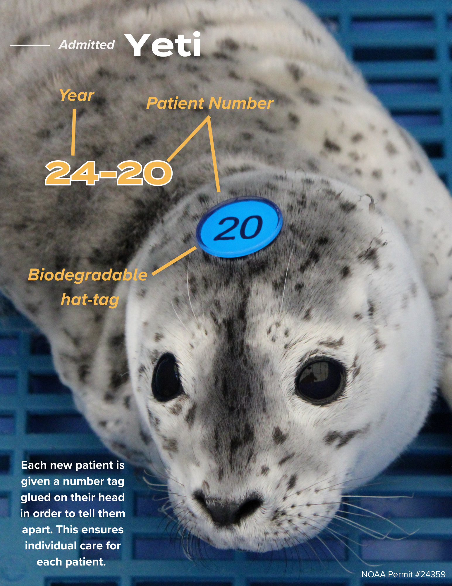   One of the 8.5x11 inch pages that Olivia designed for SR3 during her summer internship.  