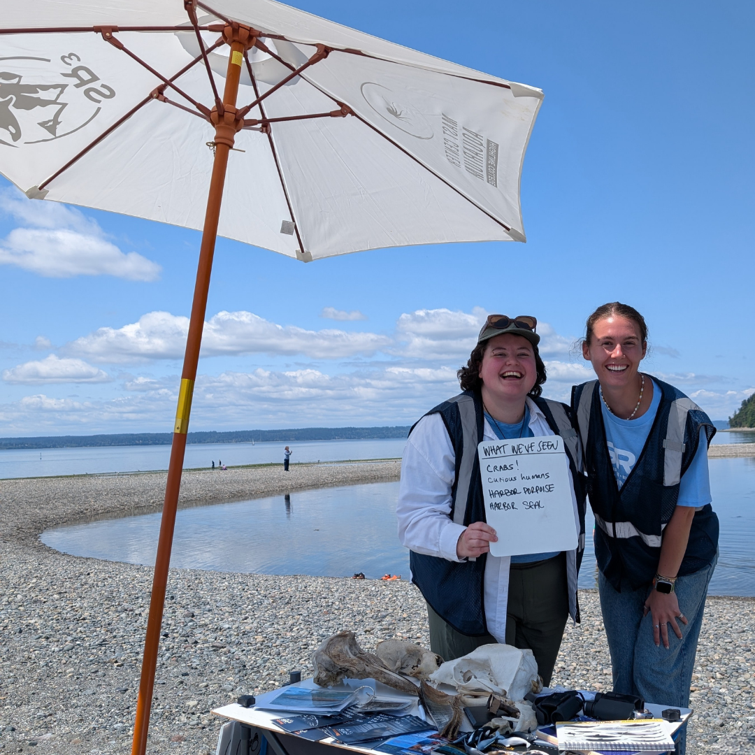 Testing the Waters in Marine Wildlife Conservation