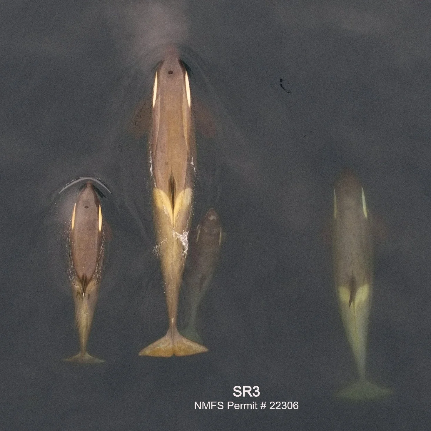 An incredibly successful start to the 2026 Antarctic season!