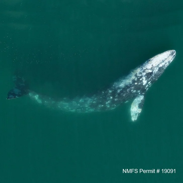 Back on the Water in Southern California!