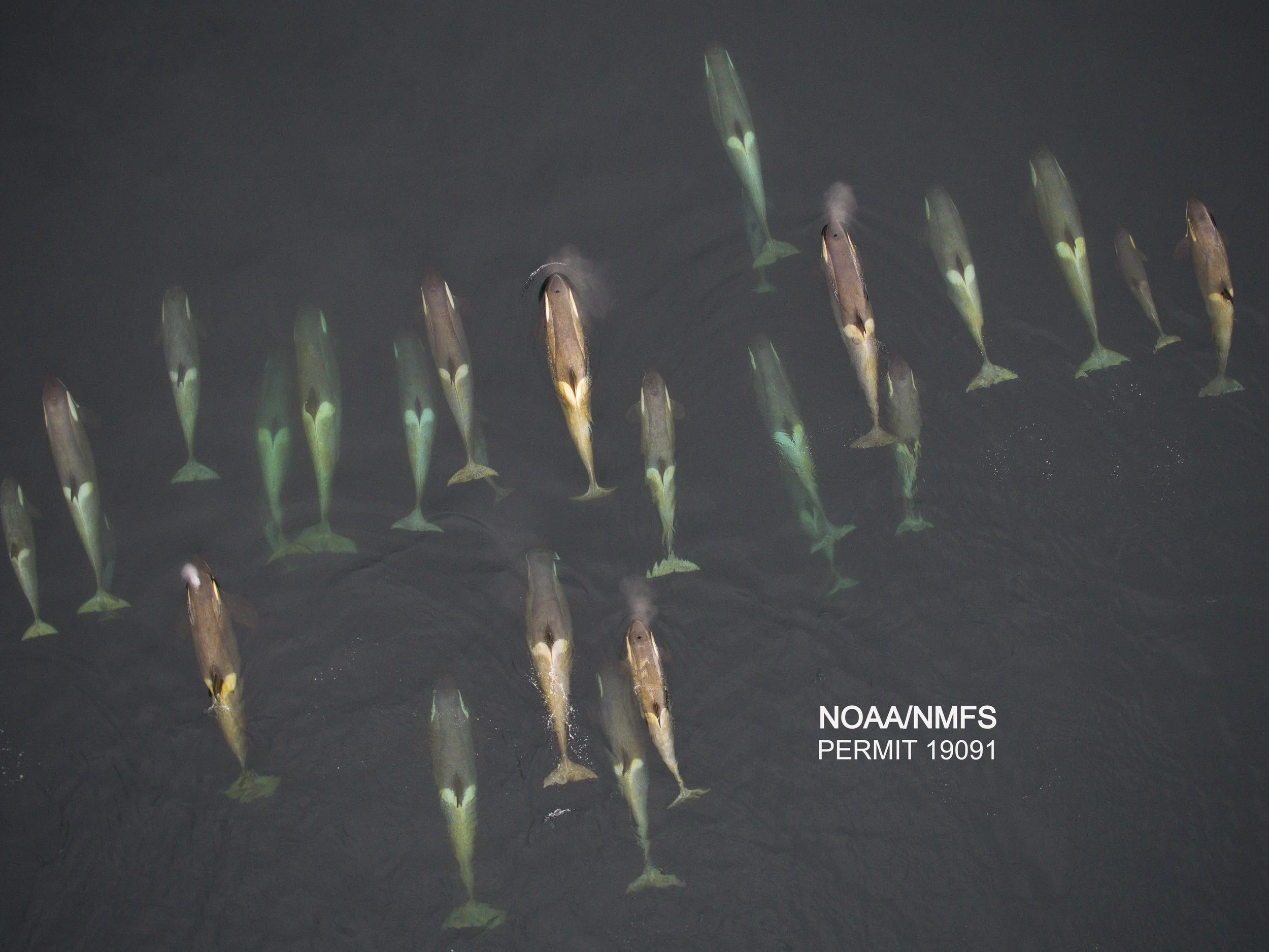 Antarctica – That’s a Wrap!