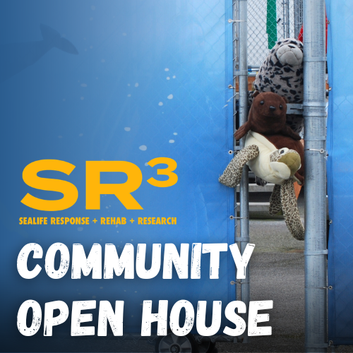 Community Open House