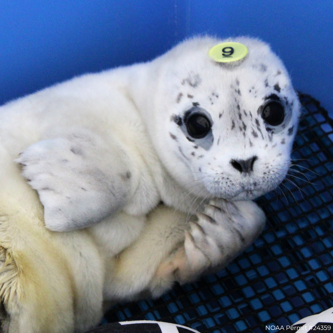 Three Stories of Survival from 2025