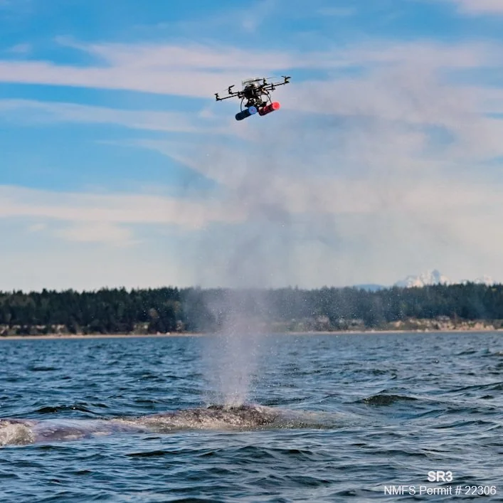 2026 Sounders Research Update