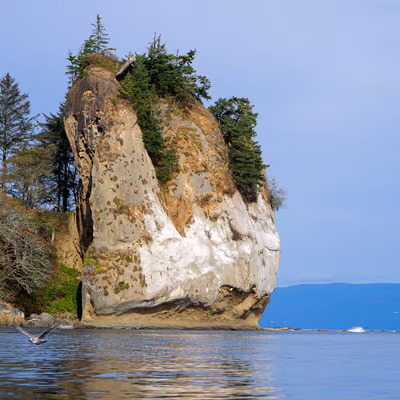 Conservation on the Frontlines: From Seattle to the Olympic Coast