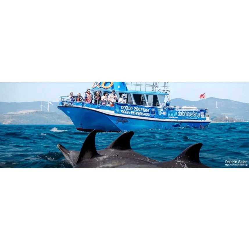 Impact of maritime traffic and whale-watching on survival of bottlenose dolphins