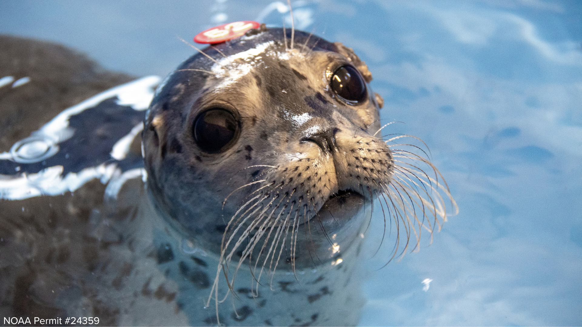 Patient Update: Huevos Rancheros