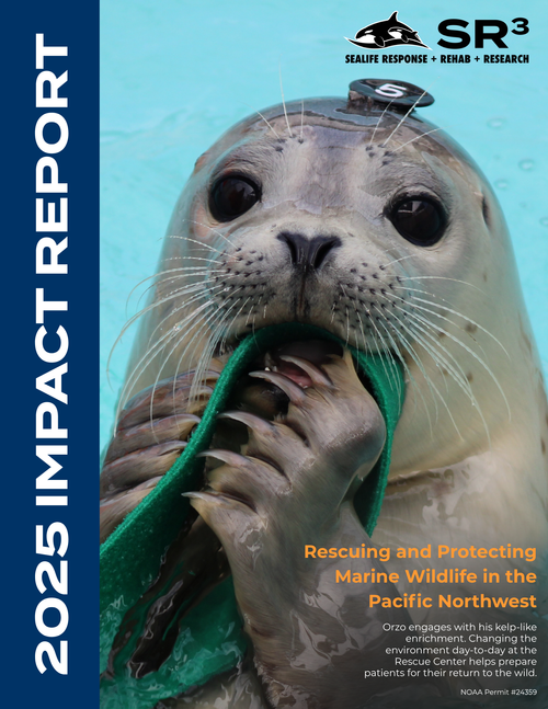 Impact Report 2025 Cover