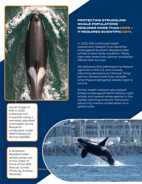 Impact Report 2025 Page 7
