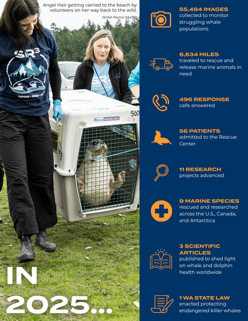 Impact Report 2025 Page 4