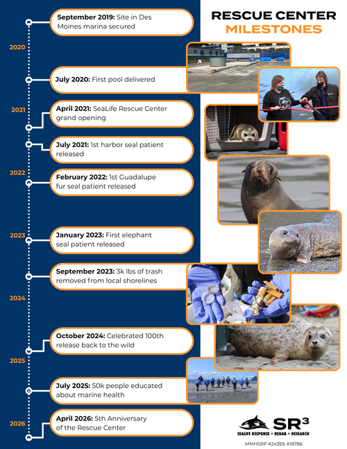 Impact Report 2025 Page 3